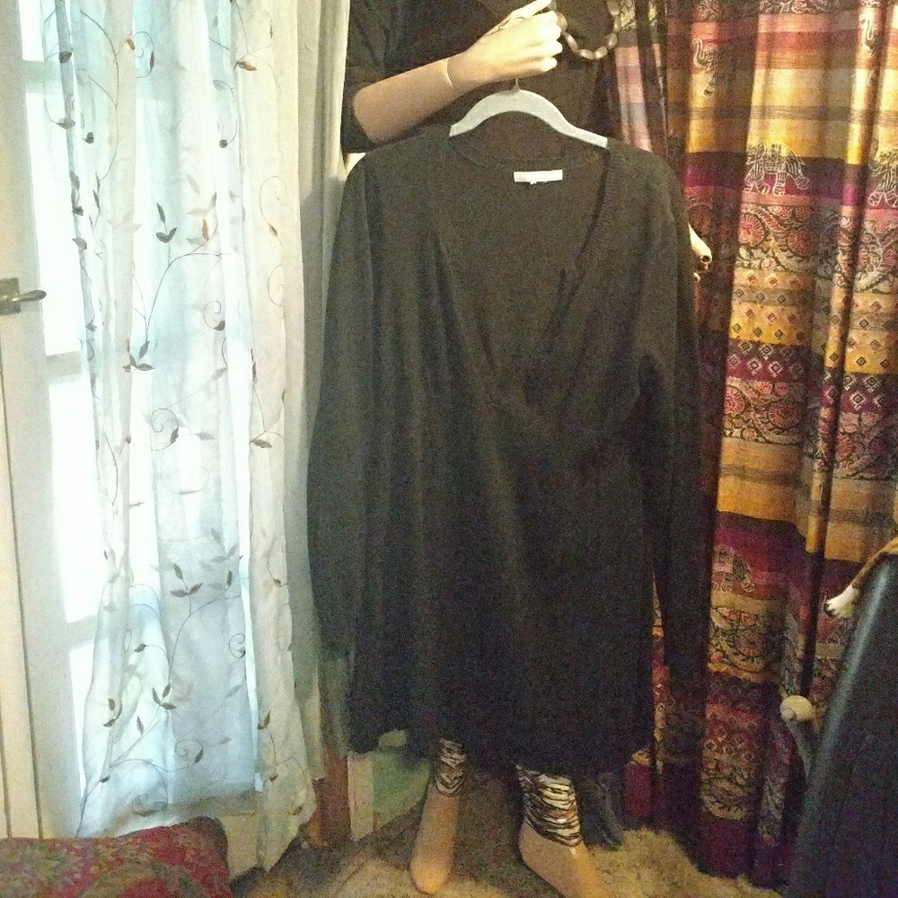 Long Sleeve V Neck Dress